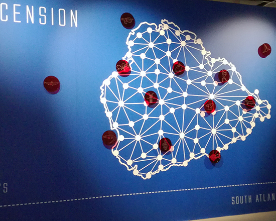 Wall Graphics 2